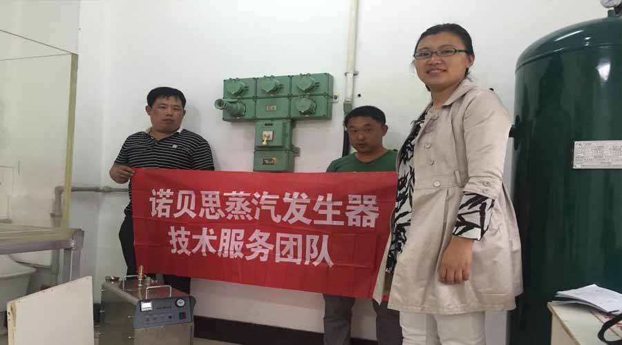 蒸汽發(fā)生器廠家技術團隊服務 蒸汽發(fā)生器廠家技術團隊服務