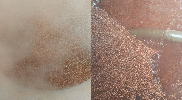 釀酒蒸汽發(fā)生器 釀酒蒸汽發(fā)生器