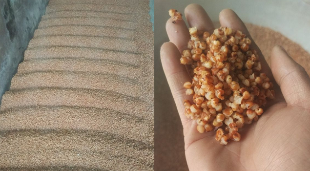 釀酒蒸汽發(fā)生器 釀酒蒸汽發(fā)生器