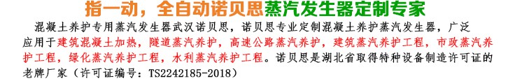 12-24kw混凝土養(yǎng)護(hù)小型蒸汽發(fā)生器簡(jiǎn)介