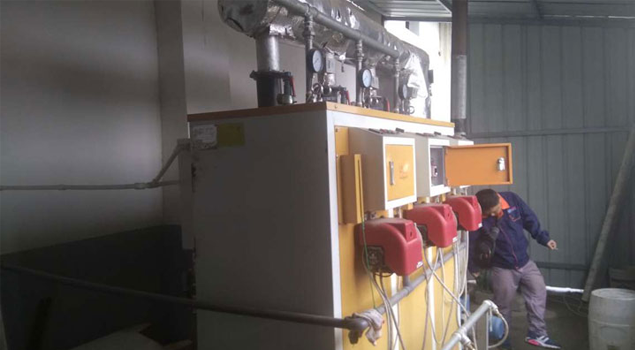 牛肉罐頭滅菌蒸汽發(fā)生器 牛肉罐頭滅菌蒸汽發(fā)生器