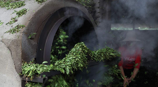 普洱茶殺青烘干蒸汽發(fā)生器 普洱茶殺青烘干蒸汽發(fā)生器