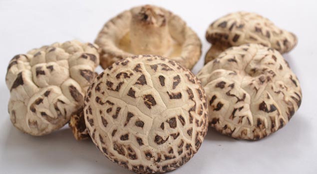 香菇烘干蒸汽發(fā)生器助香菇營養(yǎng)價值高幾番！