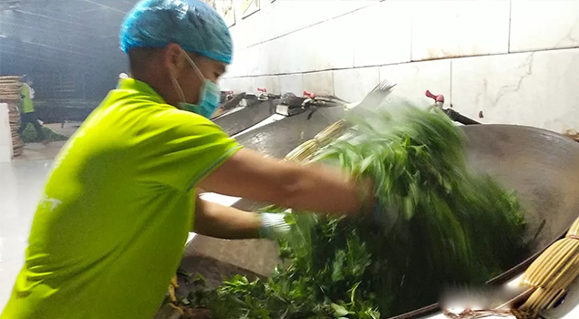 電氣化制茶成主流，蒸汽發(fā)生器讓制茶無(wú)煙化，實(shí)現(xiàn)零排放的環(huán)保目標(biāo)