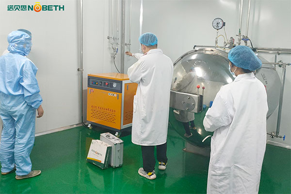 高溫高壓蒸汽機推薦，食品蒸汽滅菌用